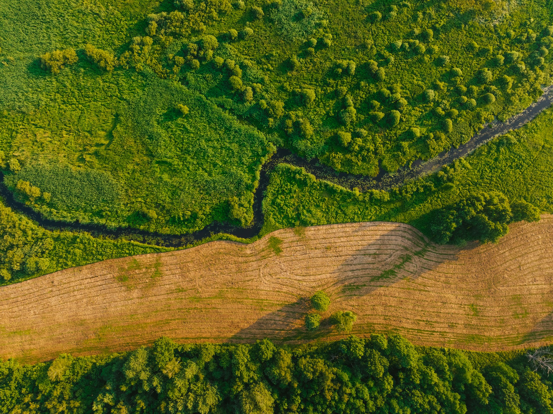 Aerial view of a plot of plowed land through a green landscape, representing disputes over errors in land purchases and sales in BC